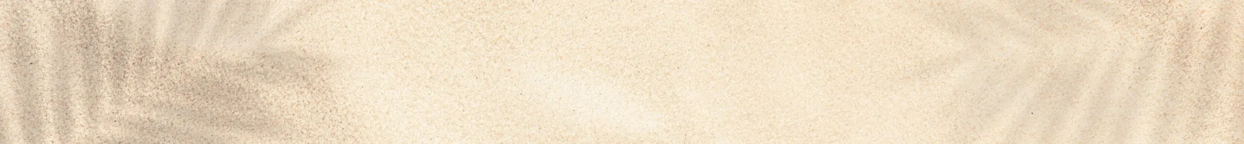 Banner title